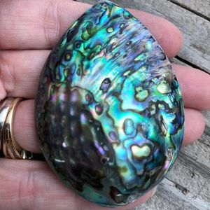 Beautiful Natural Abalone Pendant Bead/Free Bail